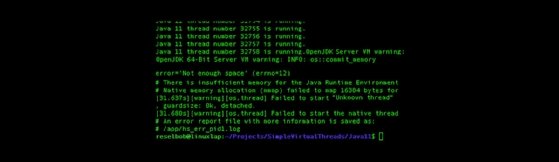Memory errors result when running one million virtual threads under Java 11.