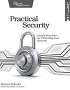 Cover image of 'Practical Security'