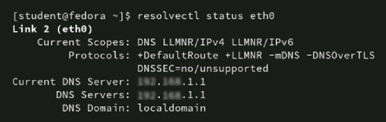 Screenshot of DNS server info using resolvectl