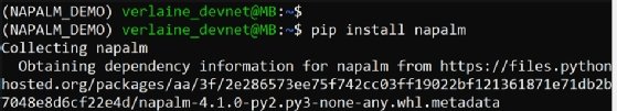 Installieren Sie die NAPALM-Bibliothek mit pip install napalm.