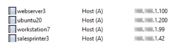 Screenshot of Windows DNS records