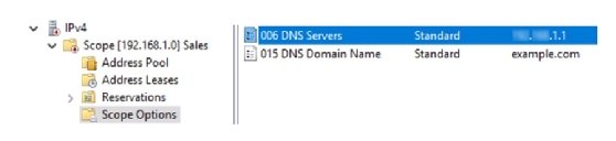 Screenshot of the DNS settings in the DHCP section on Windows