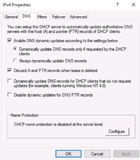 screenshot of DNS configuration for DHCP