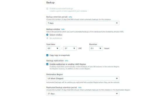 screen shot of RDS backup options