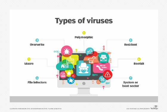 types of viruses