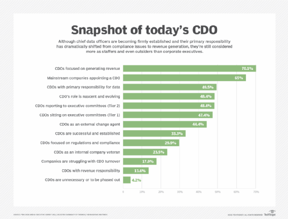 How to Become a Chief Data Officer - The 5 Golden Rules to Achieve Success