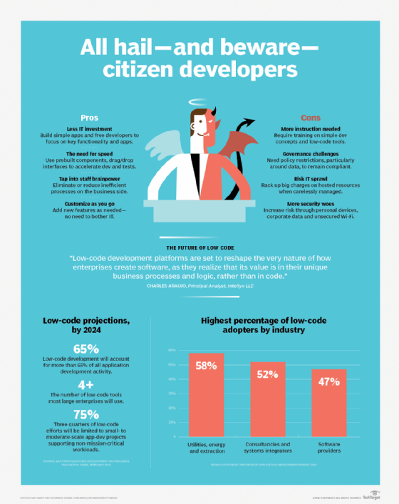 software development infographic