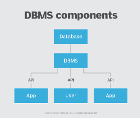 What Is a Database? (Definition, Types, Components)