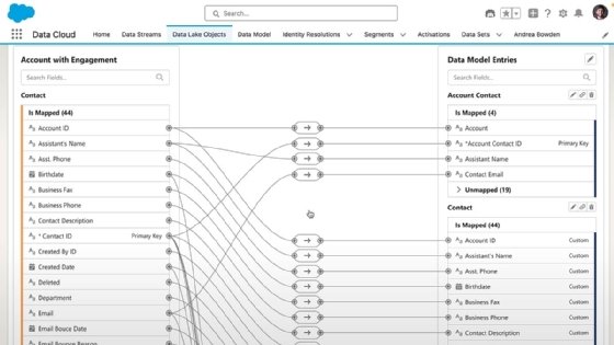 Screenshot of Salesforce Data Cloud and Einstein 1.