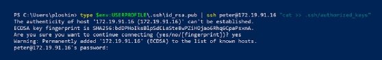 PowerShell copy SSH public key