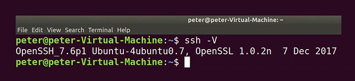 How To Use SSH Tunnels To Cross Network Boundaries | TechTarget