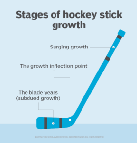 curved hockey stick history
