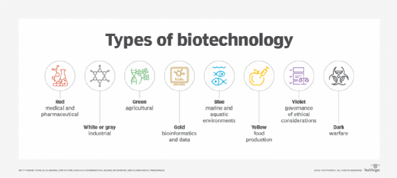 What is Biotechnology? Definition, Types and Applications | TechTarget