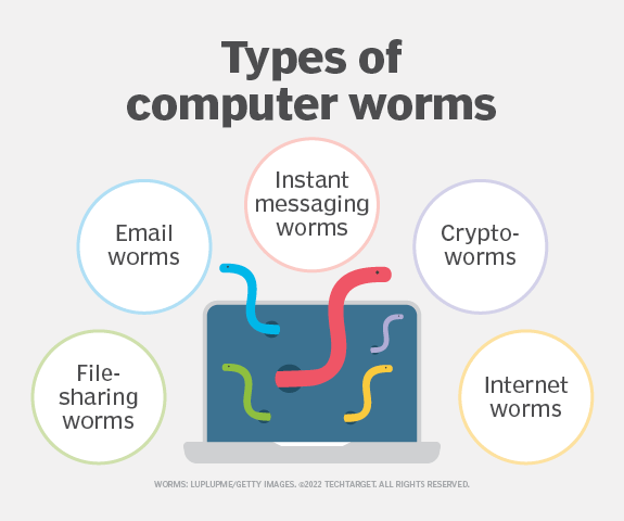 definition-of-computer-worm-how-does-it-work