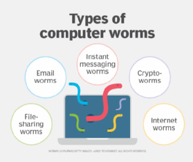 A chart showing the five different types of computer worms.
