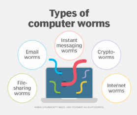 computer worm diagram