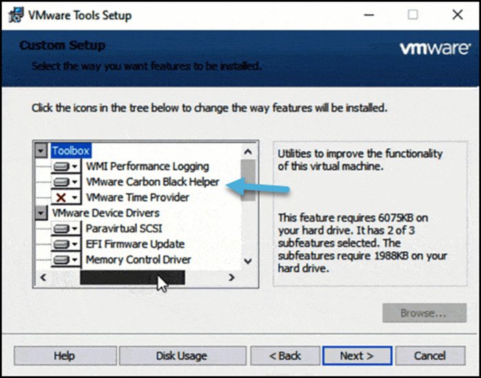 Screenshot of VMware Tools setup interface