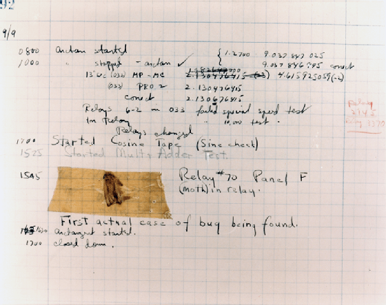 Photo of moth taped to log book.
