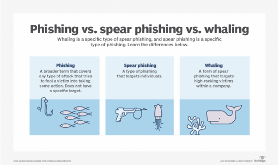 Chart comparing phishing vs. spear phishing vs. whaling