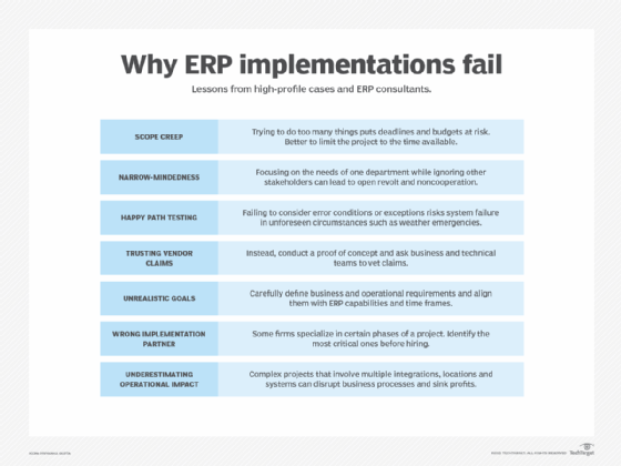 failed erp implementation case study