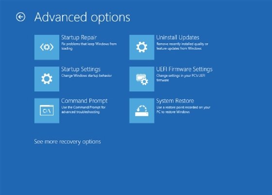 The 'Advanced options' screen in WinRE, showing 'Startup Repair,' 'Startup Settings' and other troubleshooting options.