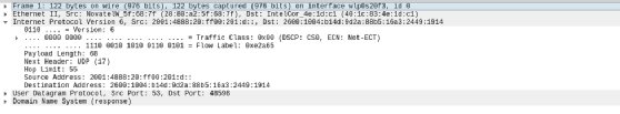 Screenshot of Wireshark and an IPv6 header