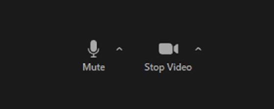 Zoom mute stop video