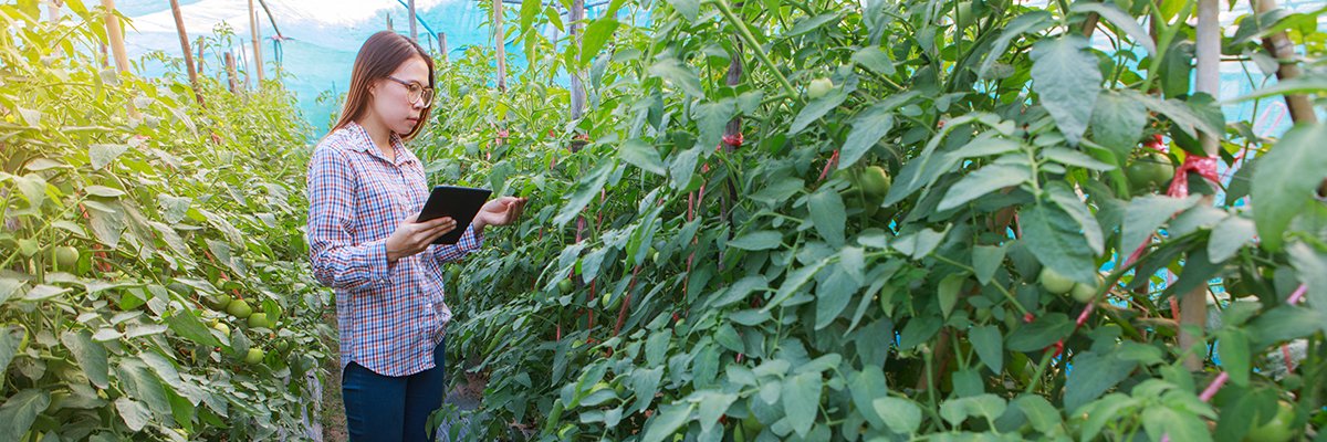 Le Natural History Museum s’associe à AWS pour la recherche sur la biodiversité