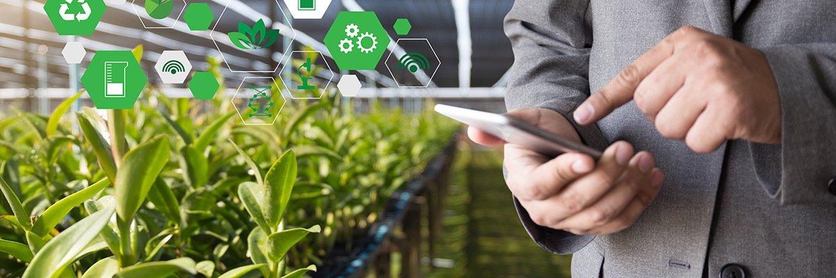 How AI can be used in agriculture: Applications and benefits