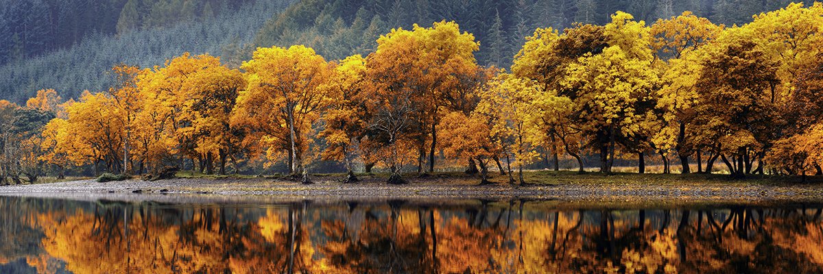 Scottish Water taps BT, Accenture to plot digital future