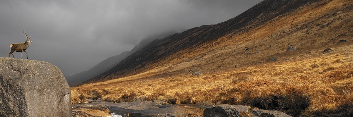 Scotland’s most remote towns and villages to get gigabit upgrade