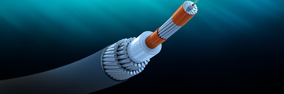 Asia-Africa-Europe-1 consortium taps Infinera to upgrade submarine cable net