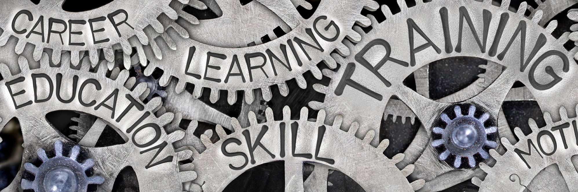 Driving the development of transformative technologies through digital skills