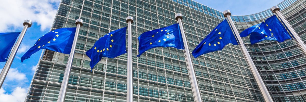 New EU due diligence law needs amending to stop tech sector abuse
